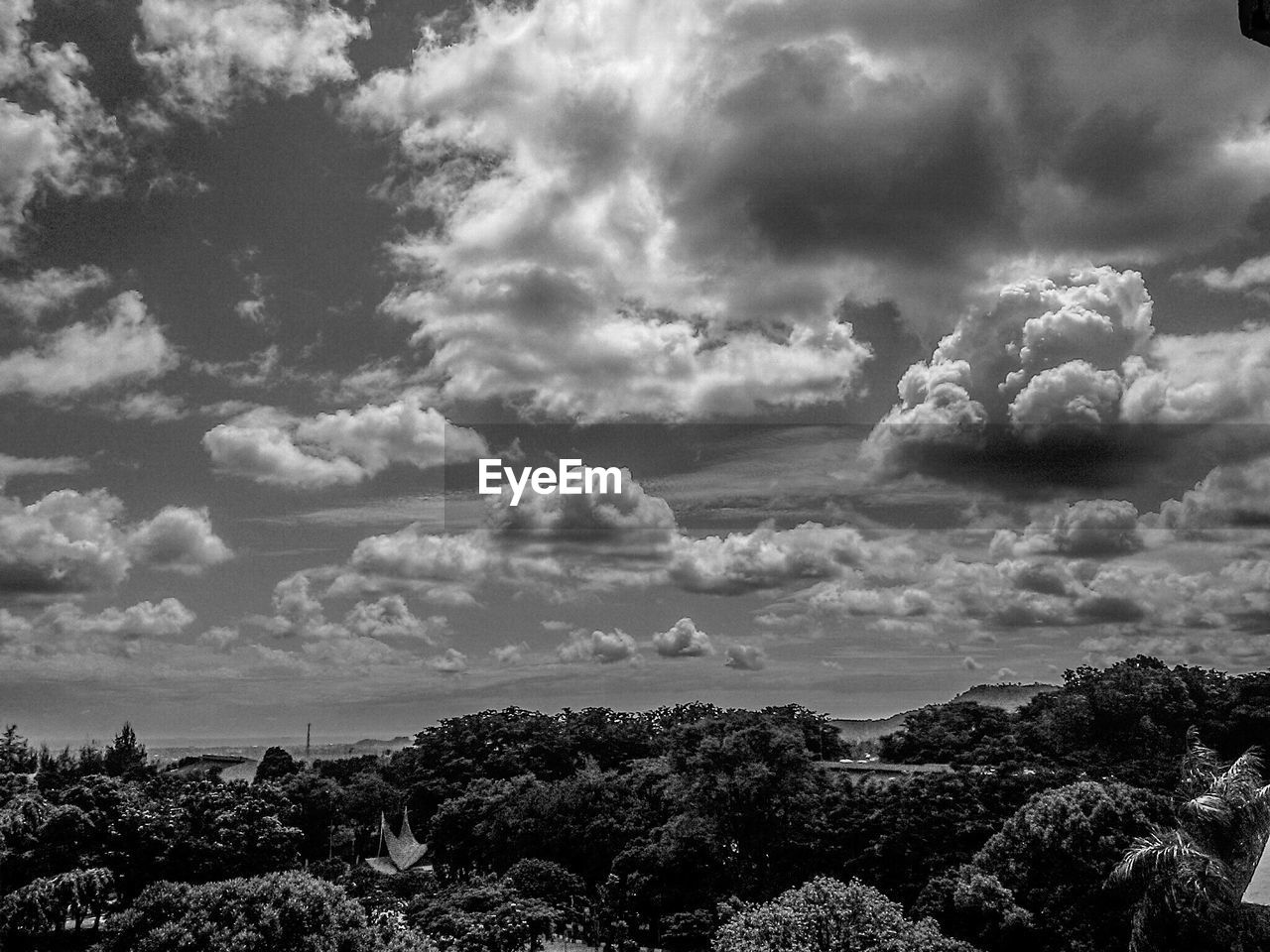 TREES ON LANDSCAPE AGAINST CLOUDY SKY