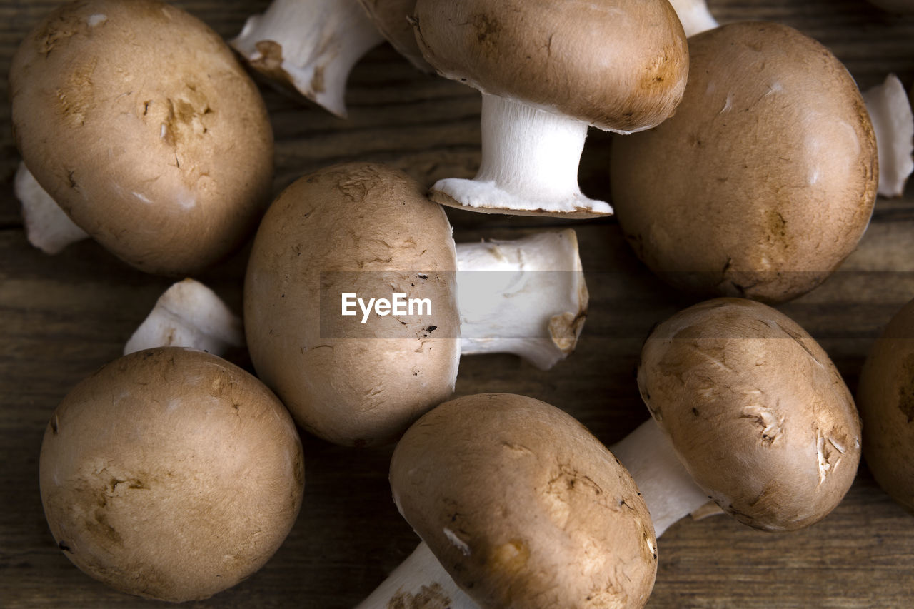 high angle view of mushrooms