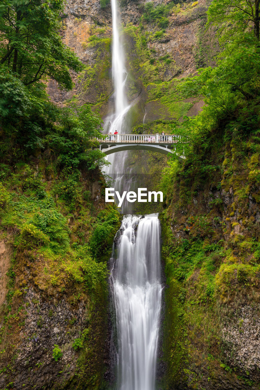 low angle view of waterfall in forest