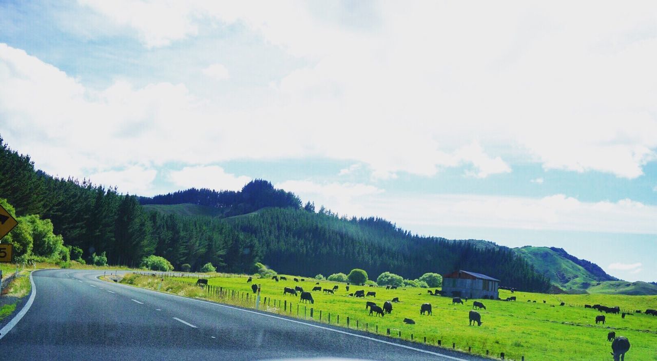 ROAD AMIDST LANDSCAPE AGAINST SKY