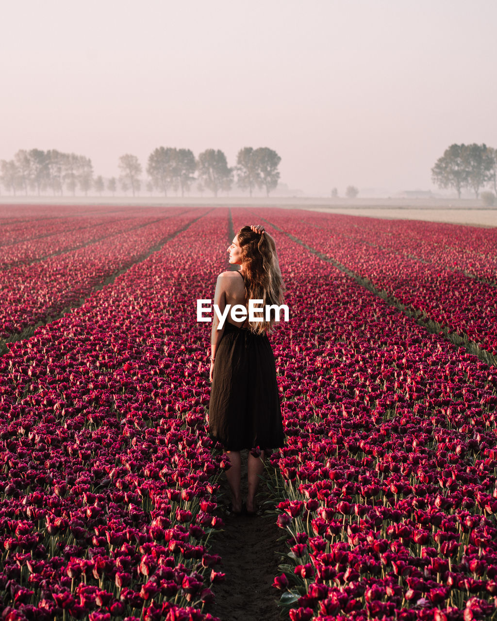 Rear view of woman standing on red field