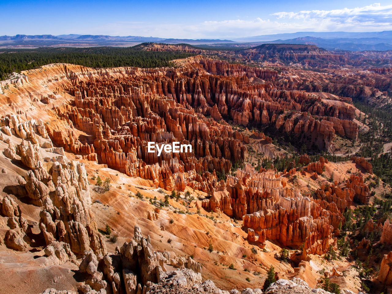 View of hoodoos in the amphieheater in bryce canyon national park, utah, usa