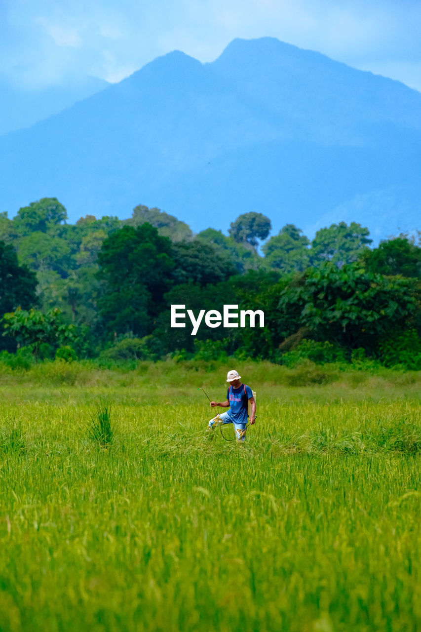 green, plant, grassland, meadow, field, pasture, land, mountain, nature, landscape, grass, natural environment, rural area, environment, one person, sky, beauty in nature, agriculture, rural scene, tree, scenics - nature, adult, paddy field, flower, plain, prairie, outdoors, day, leisure activity, men, full length, mountain range, growth, lifestyles, occupation, horizon, cloud, activity, childhood, child, tranquility, crop, women, farm, non-urban scene, morning, sunlight, walking, lush foliage, foliage