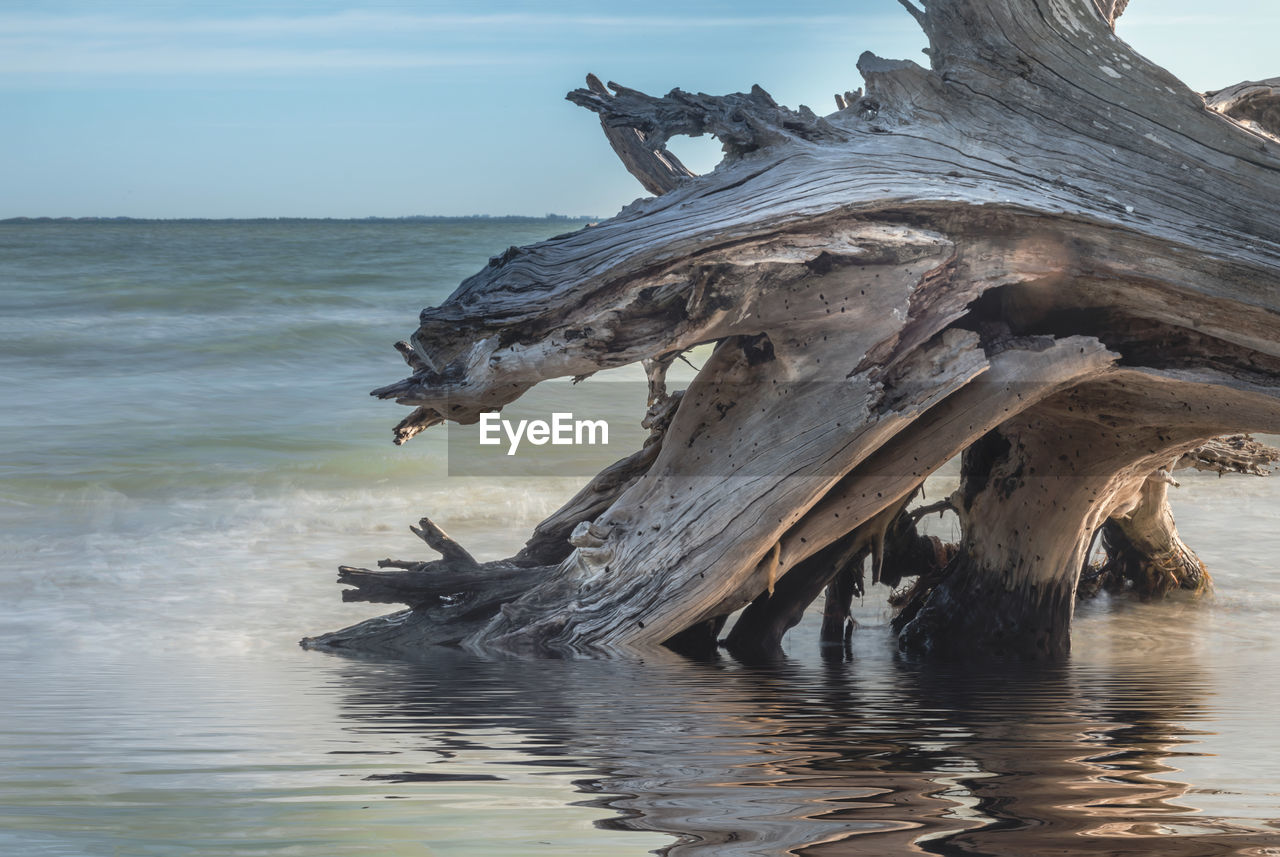 Driftwood on beach by sea against sky