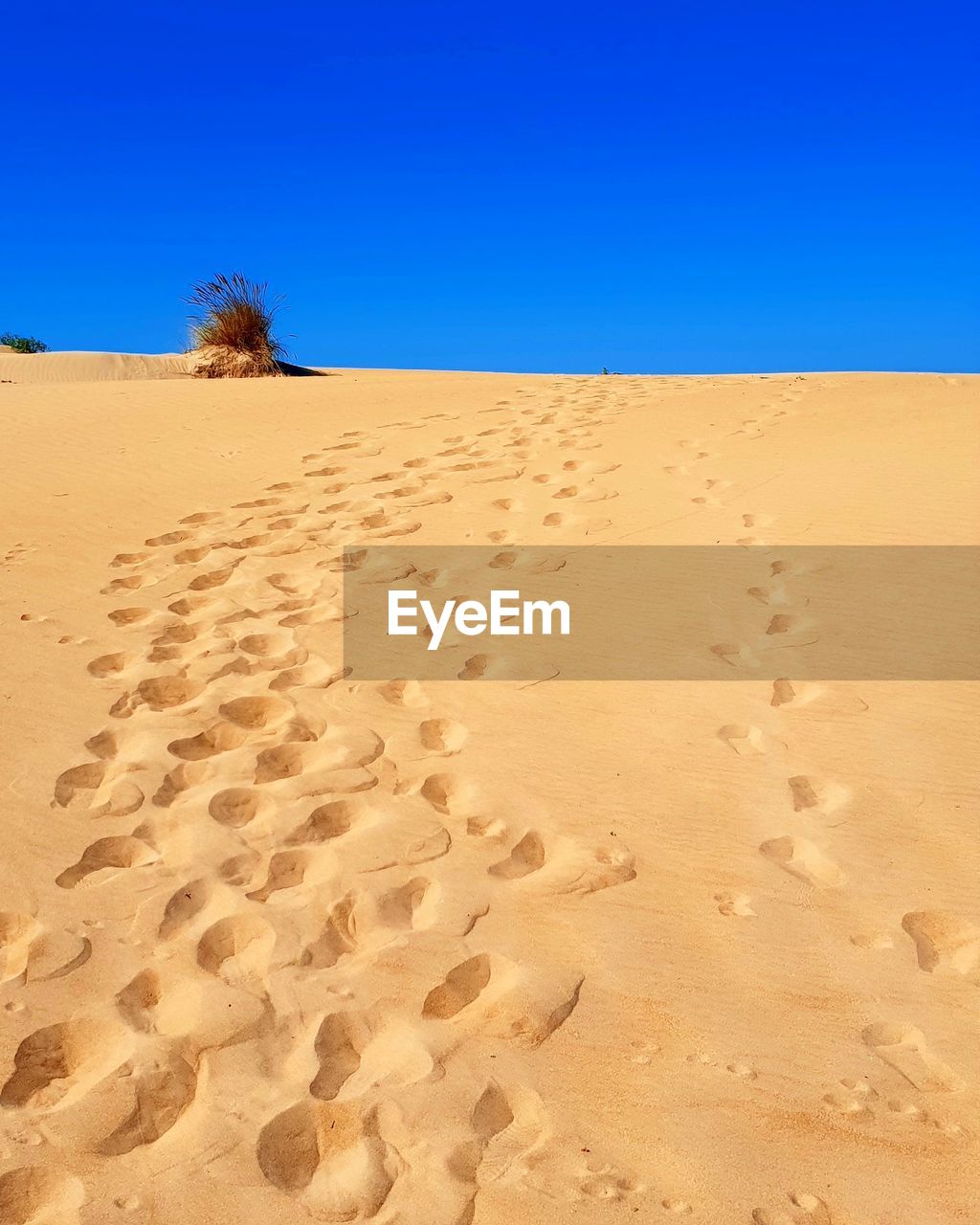 Sand dunes in desert against clear blue sky