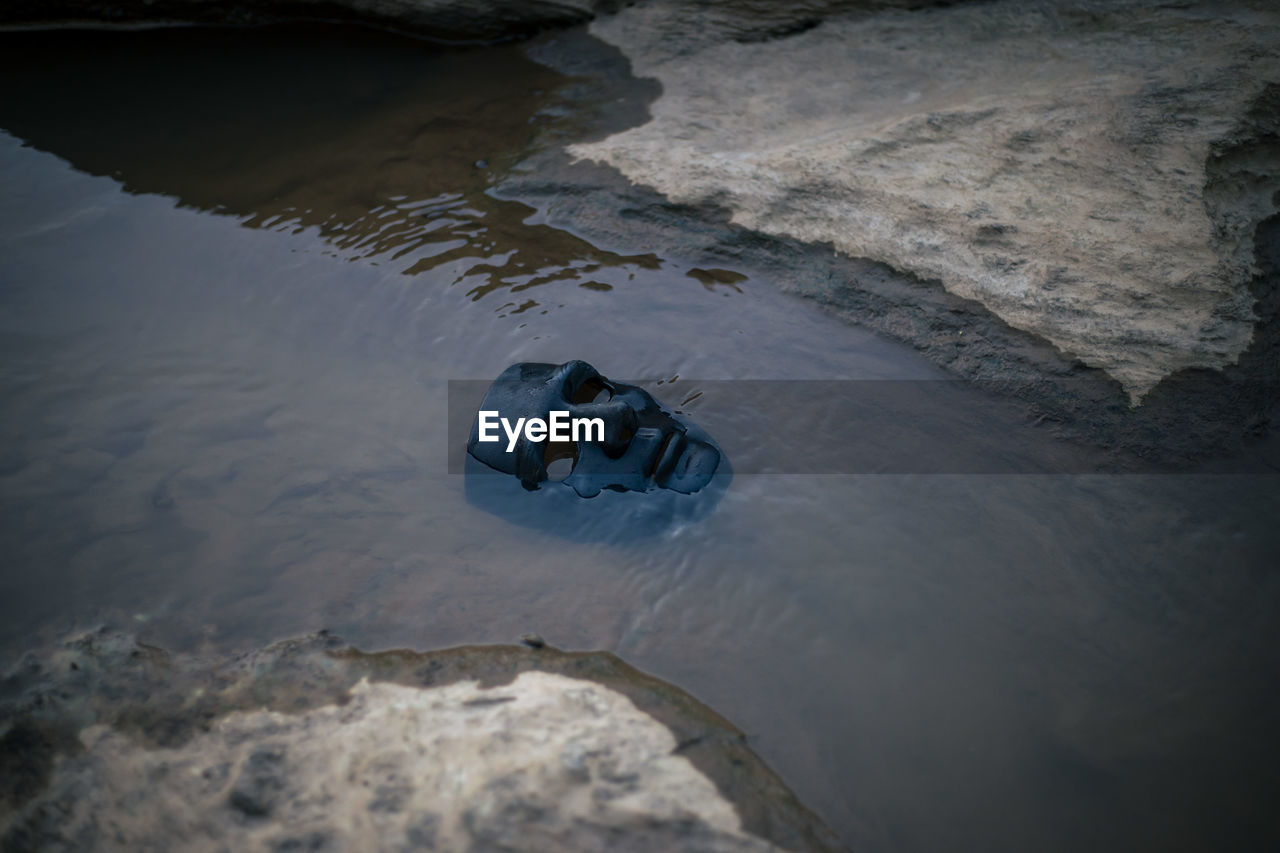 High angle view of man swimming in lake