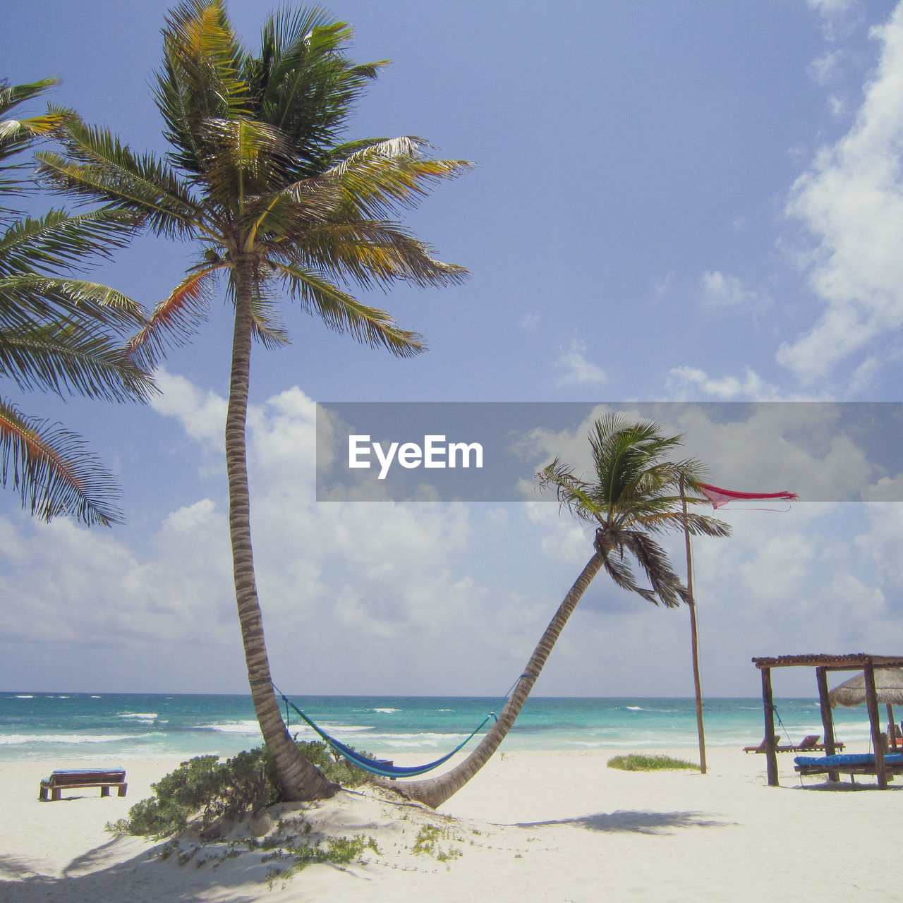 Palm trees on a carribean beach 