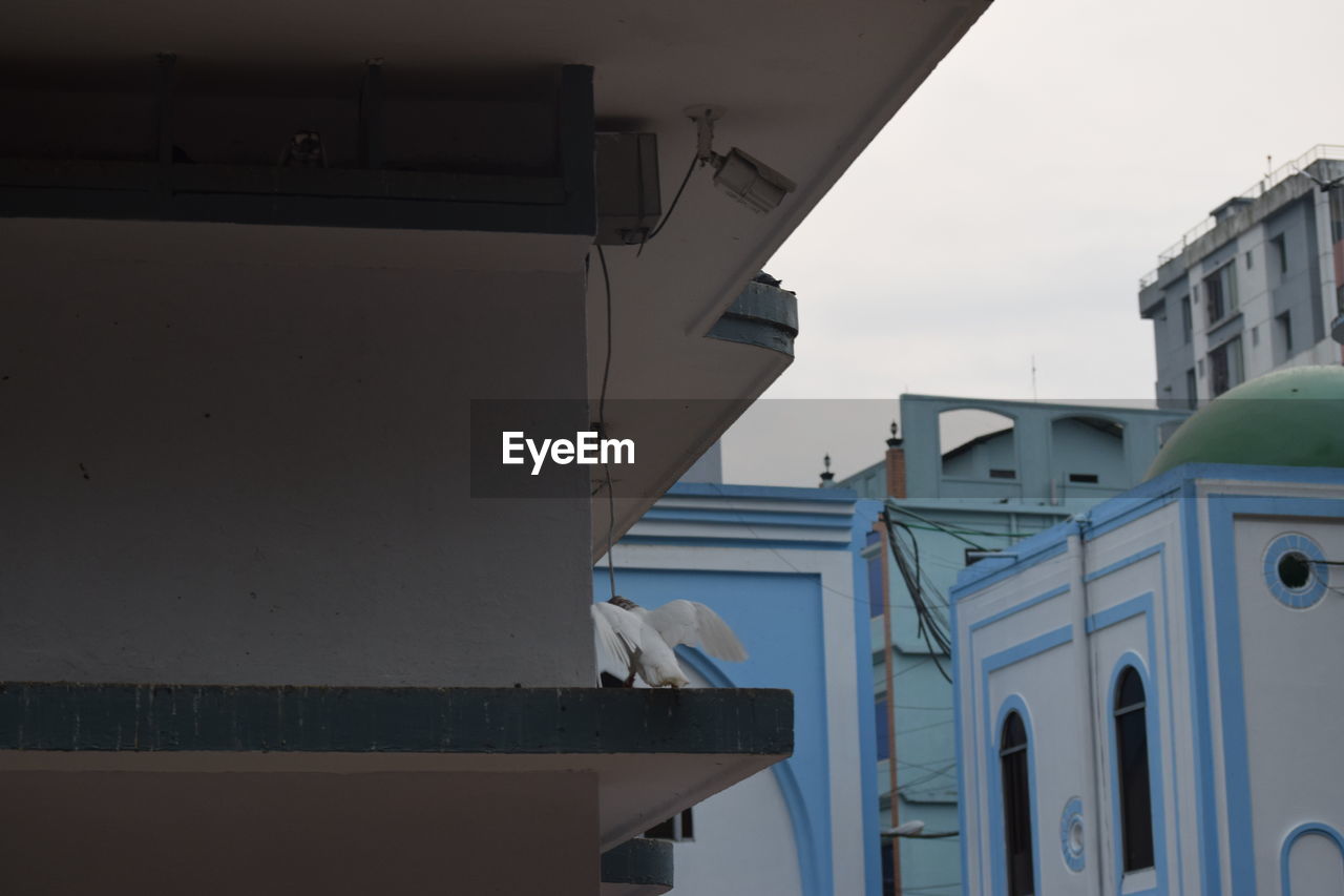 LOW ANGLE VIEW OF BIRD PERCHING ON BUILT STRUCTURE