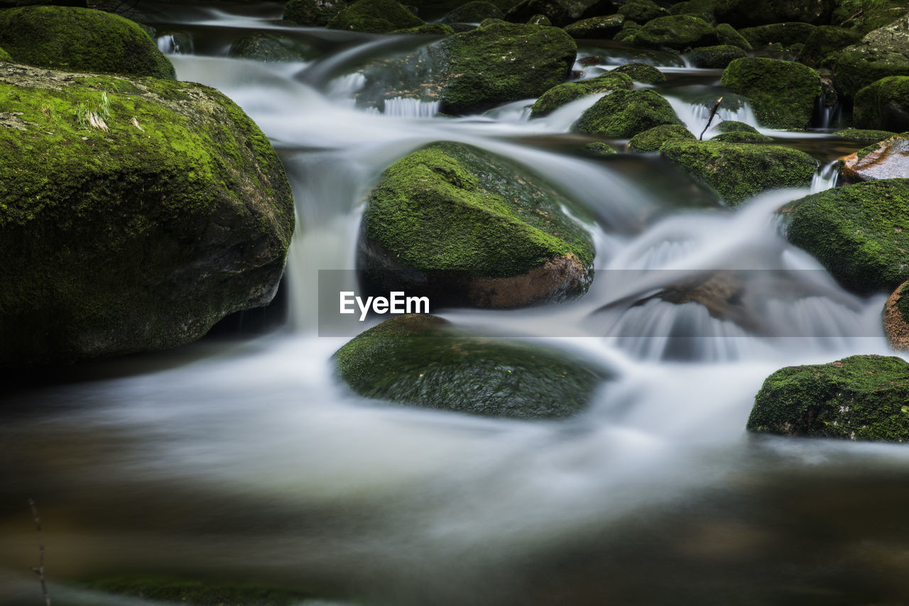 Close-up view of stream