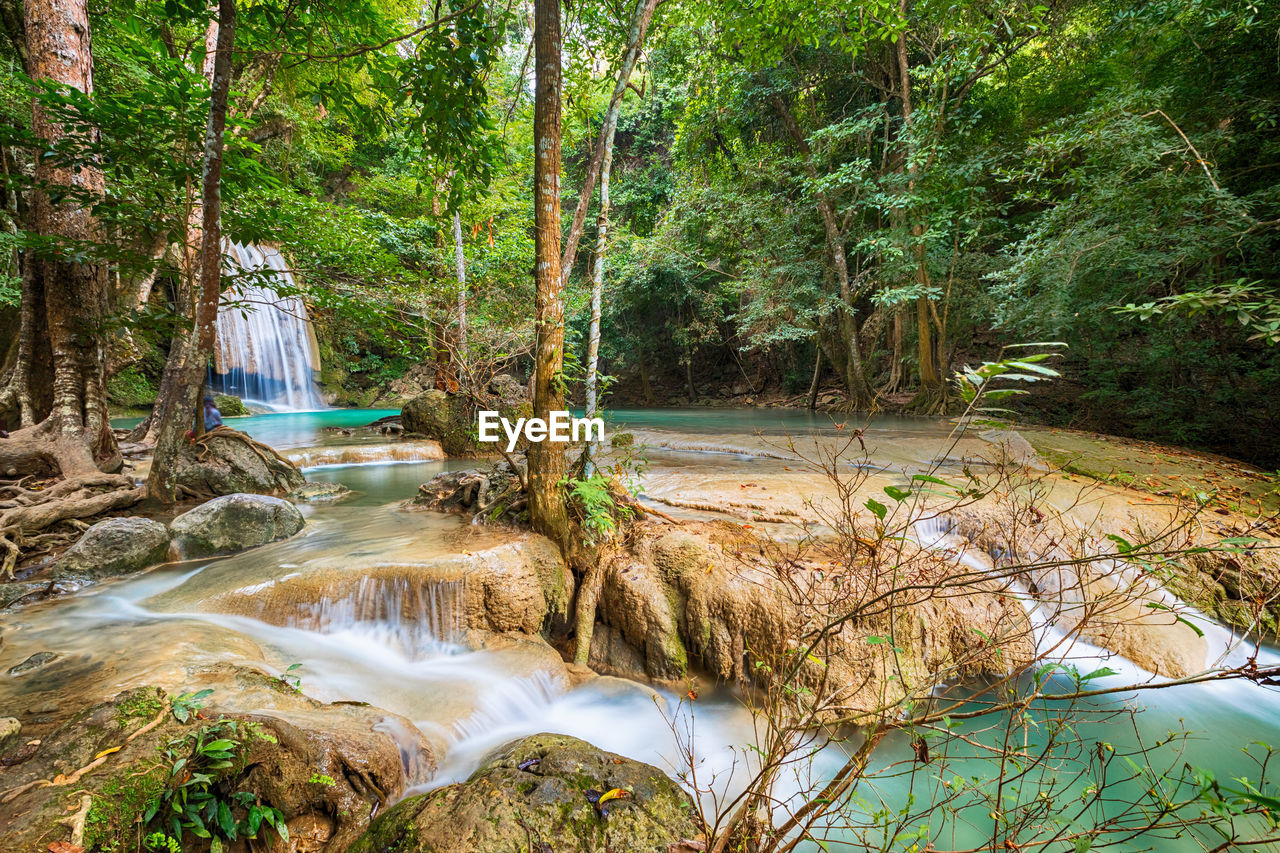 SCENIC VIEW OF RIVER FLOWING IN FOREST