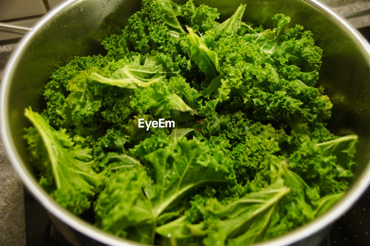 High angle view of green vegetable kale in bowl