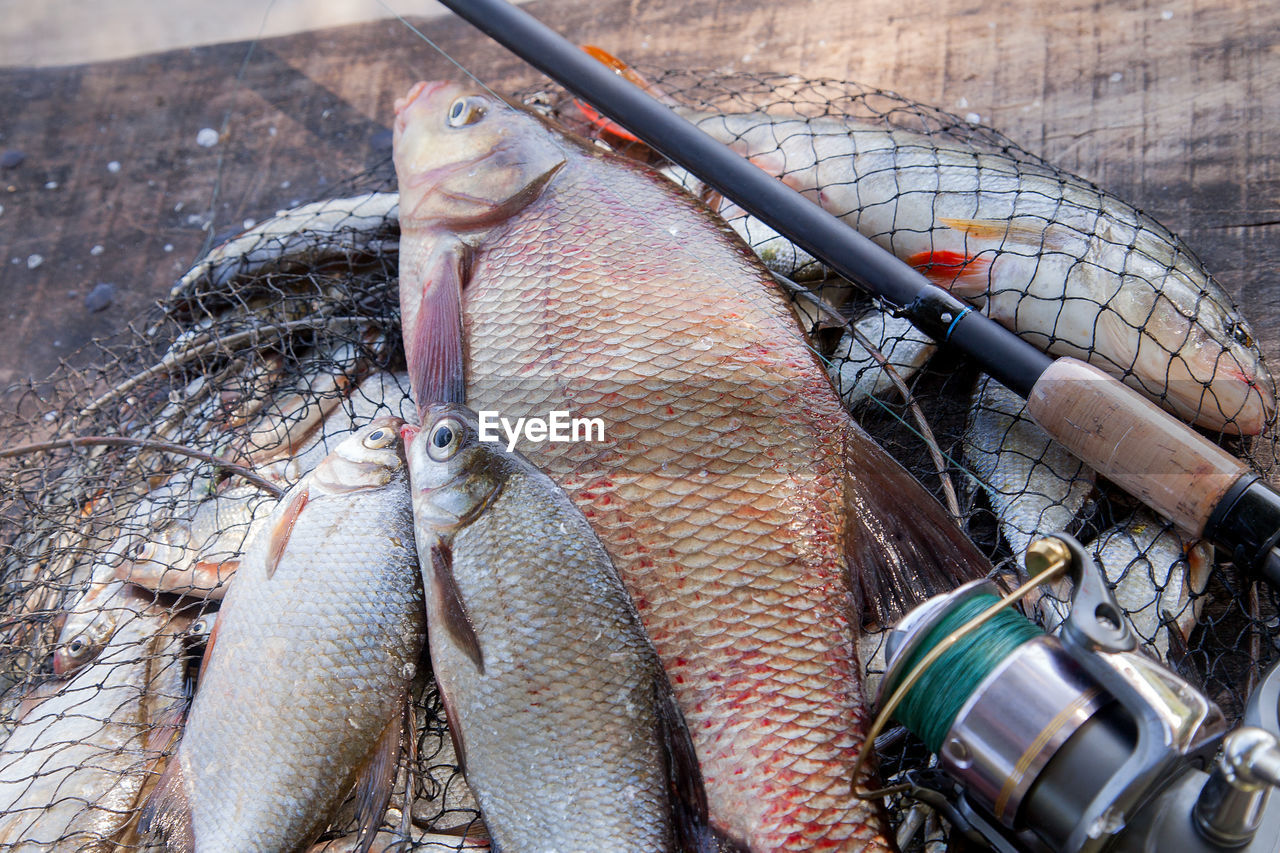 HIGH ANGLE VIEW OF FISH FOR SALE AT MARKET STALL