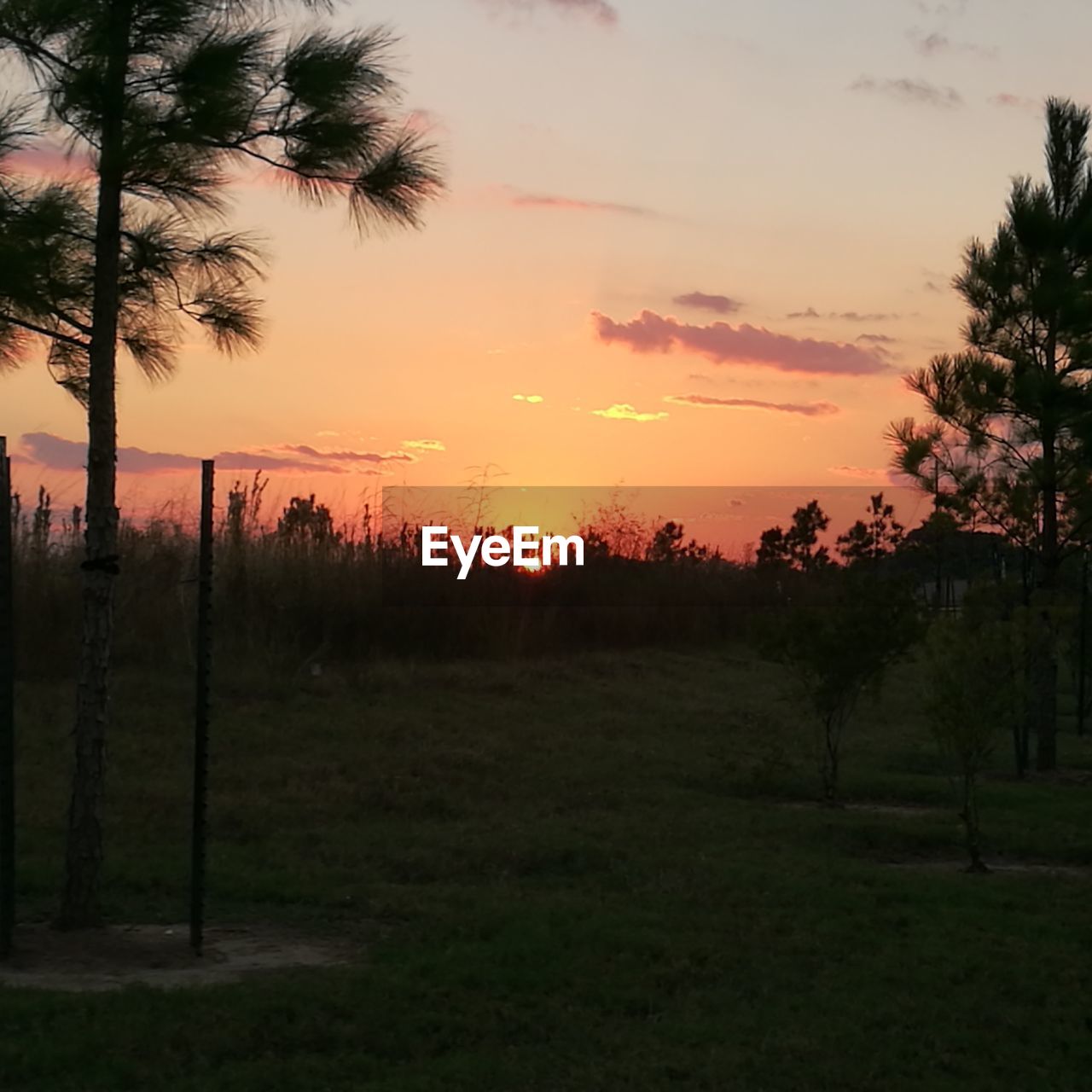 SCENIC VIEW OF FIELD AGAINST SKY AT SUNSET