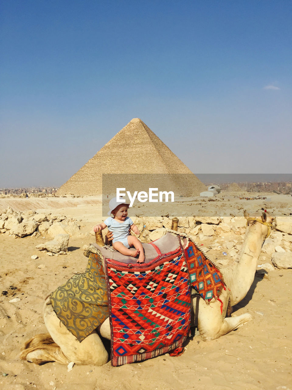 Little cute boy sit on camel at egyptian pyramids background