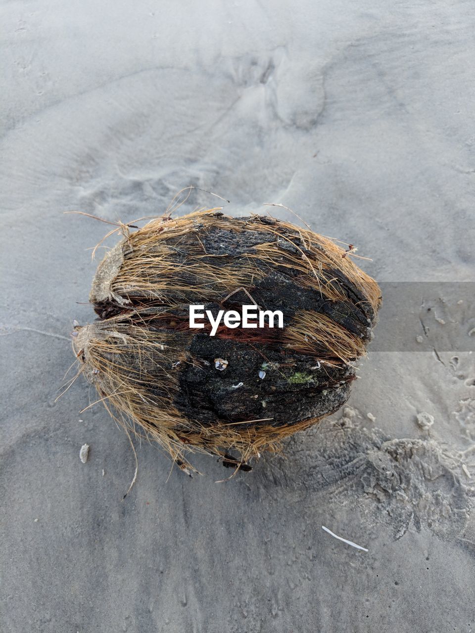 HIGH ANGLE VIEW OF BIRD ON ROCK