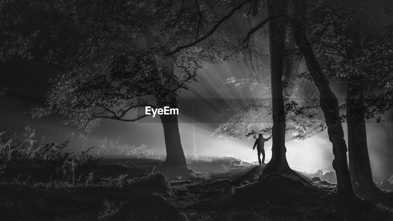 Silhouette man standing by tree in forest at night