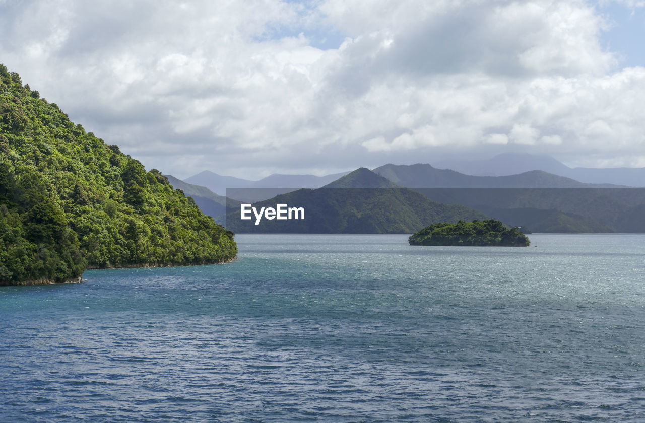 Coastal impression at queen charlotte sound in new zealand