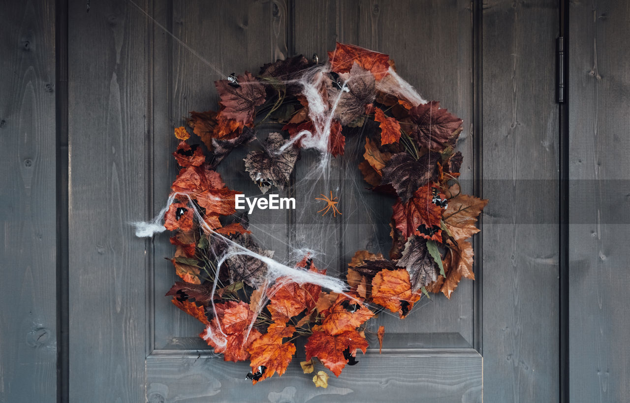 DIRECTLY ABOVE SHOT OF MAPLE LEAVES ON WOODEN DOOR