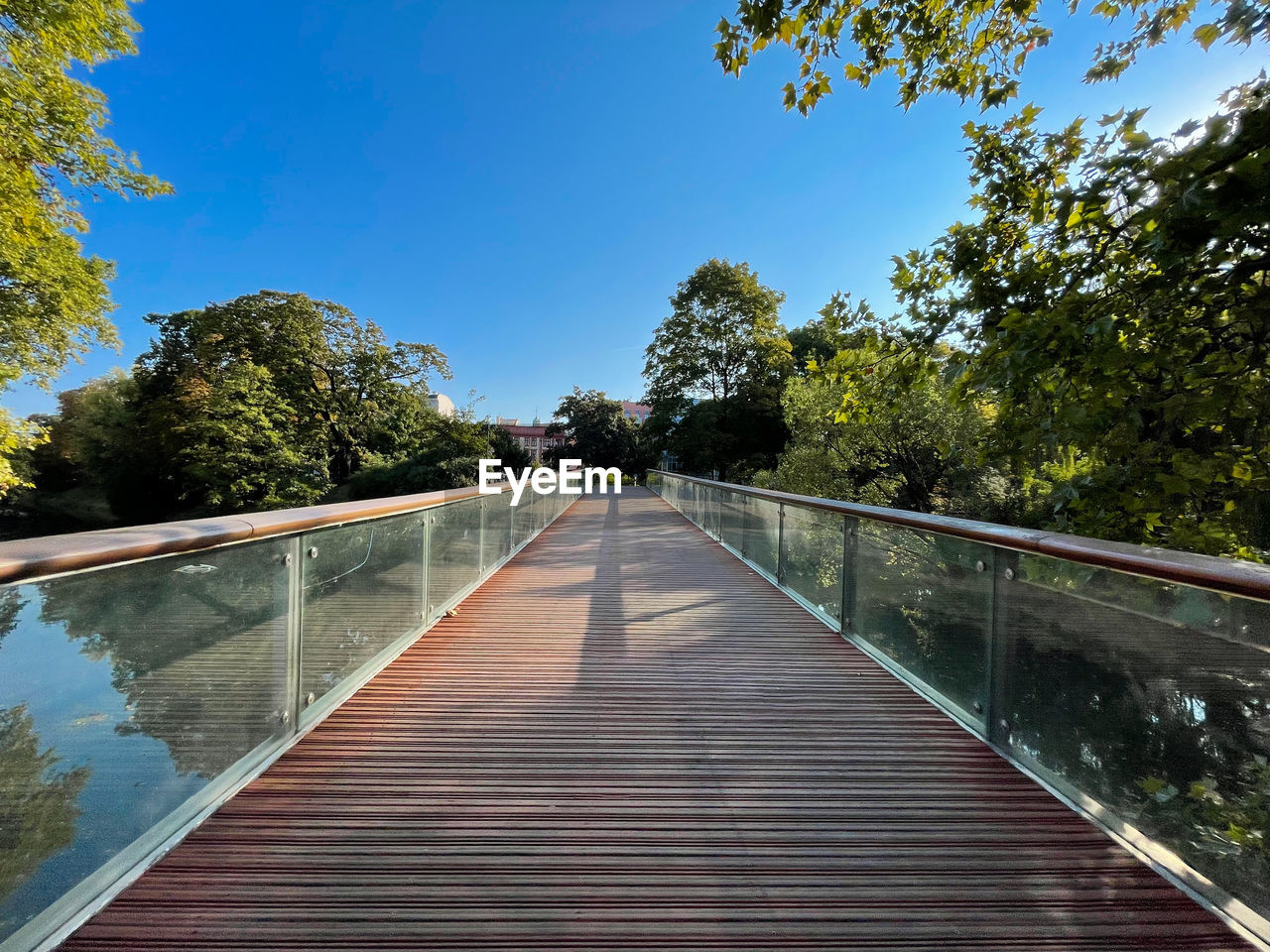 VIEW OF FOOTBRIDGE ALONG PLANTS