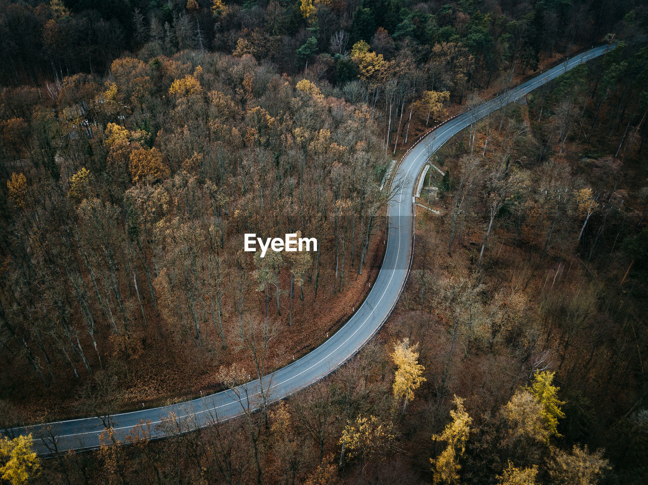 High angle view of road amidst trees during autumn