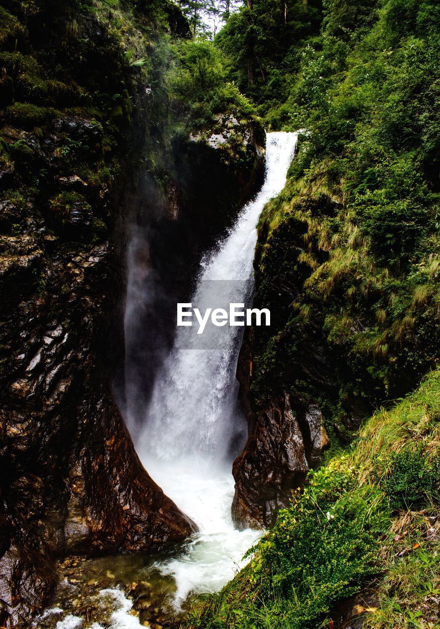 Scenic view of waterfall in forest