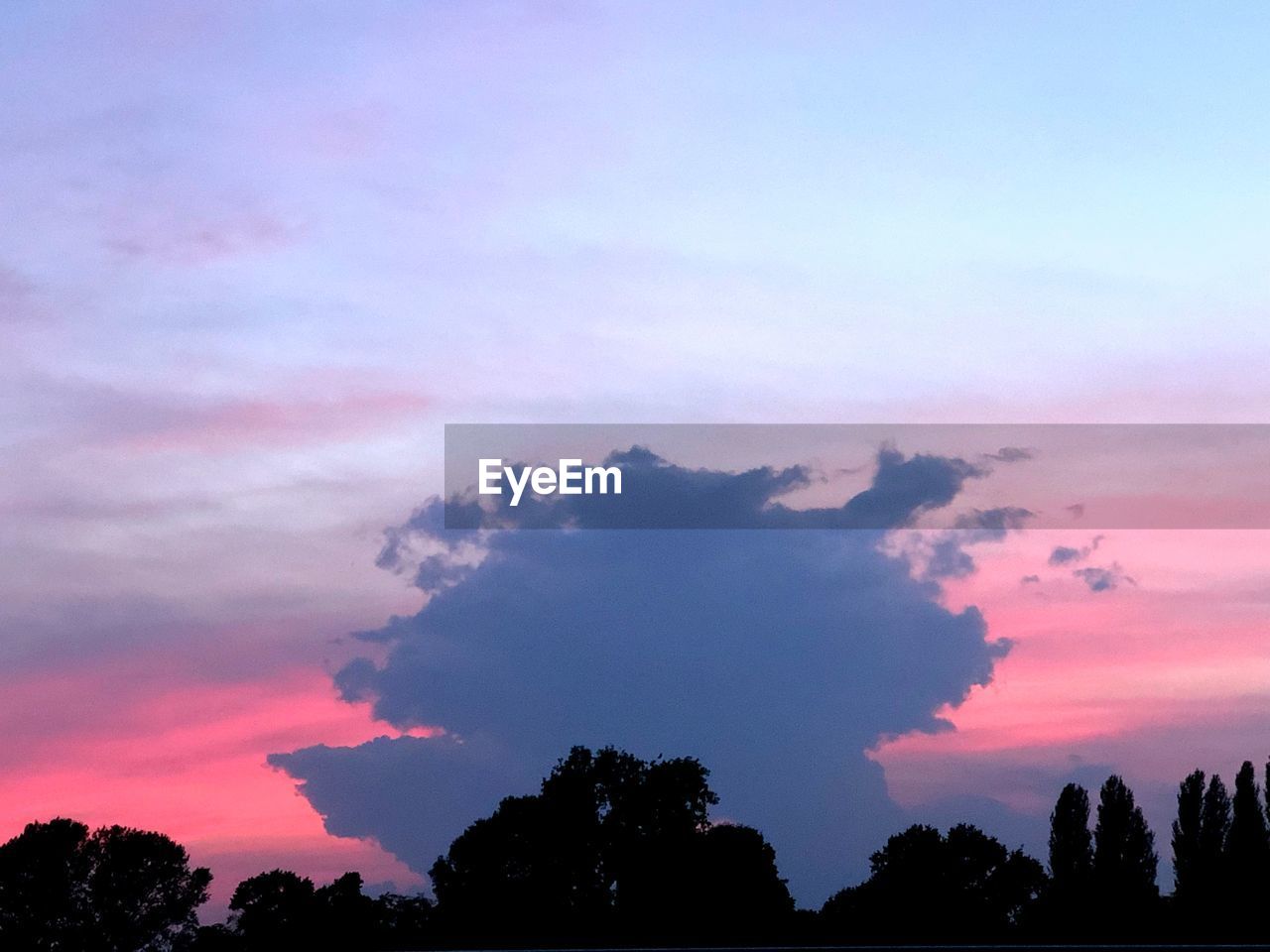 LOW ANGLE VIEW OF SILHOUETTE TREES AGAINST SUNSET SKY