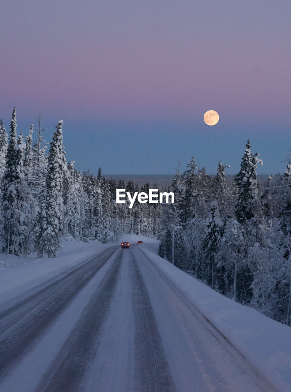 Road amidst trees against sky during winter