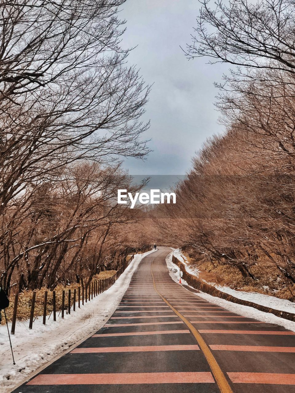 EMPTY ROAD AMIDST TREES AGAINST SKY