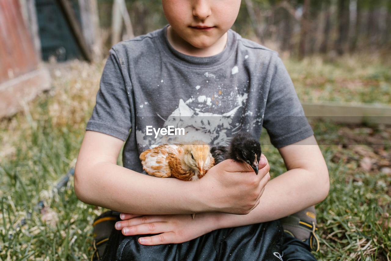 Midsection of boy sitting with chickens on grass