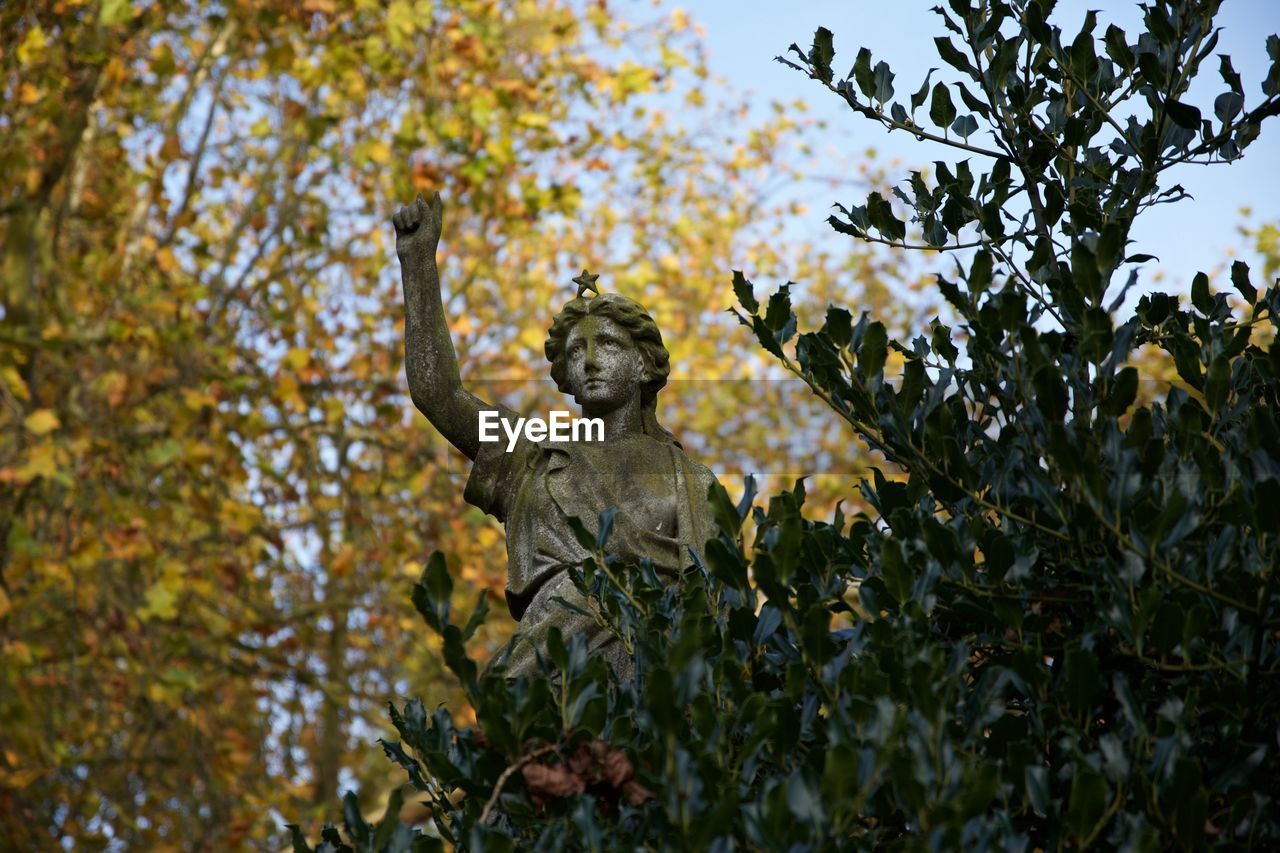 Low angle view of statue by plant in graveyard