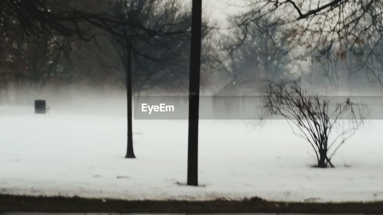 SNOW COVERED LANDSCAPE