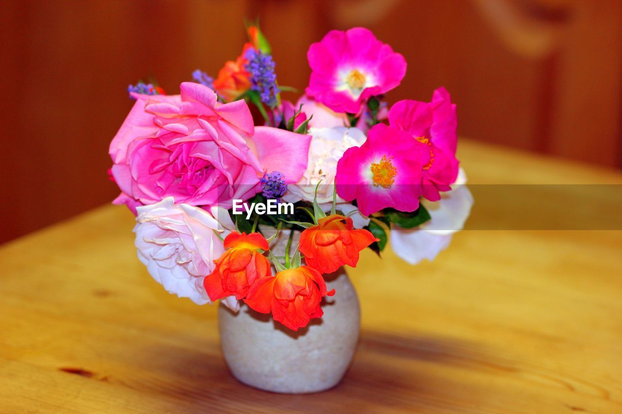 CLOSE-UP OF PINK ROSE FLOWERS ON TABLE