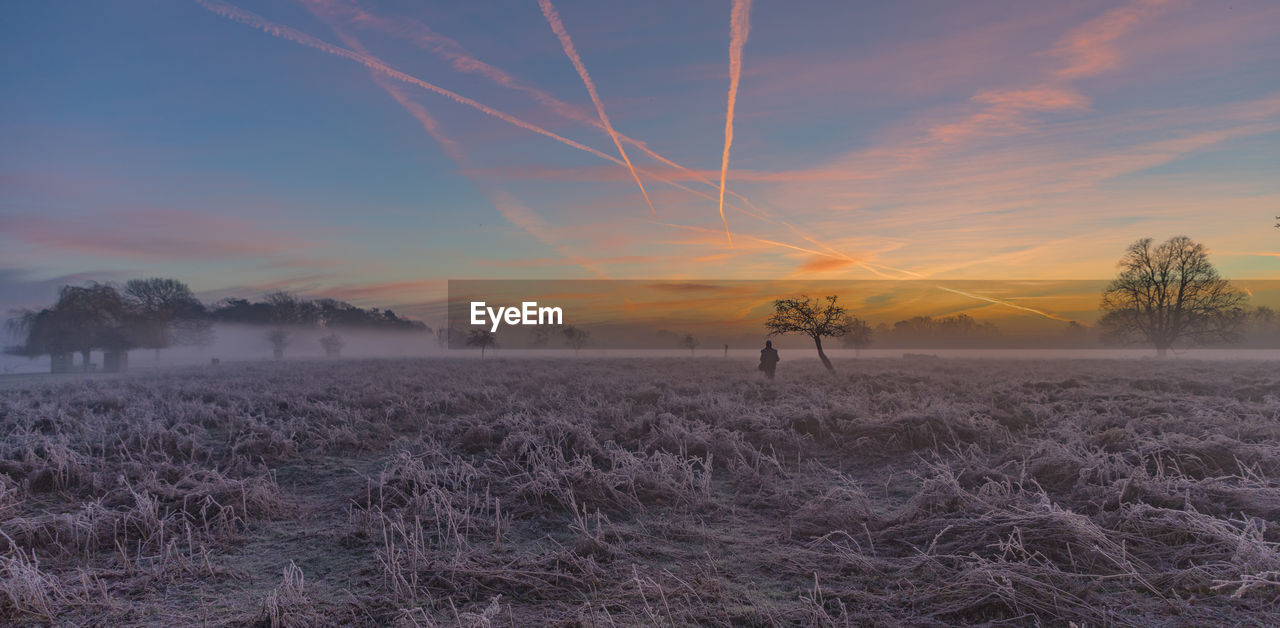 Scenic view of field against sky during sunset