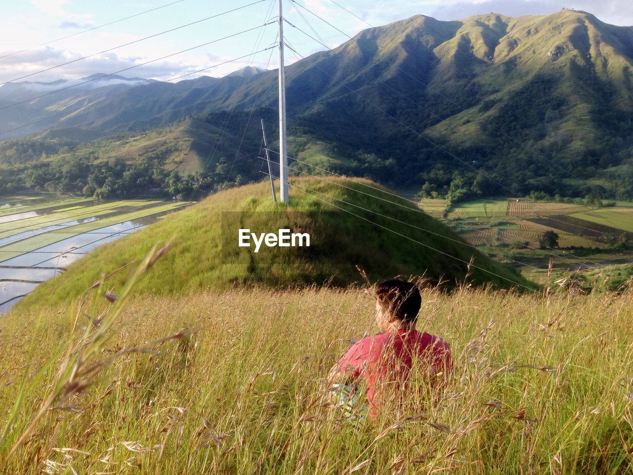 Rear view of man sitting amidst plants on field at farm against mountain