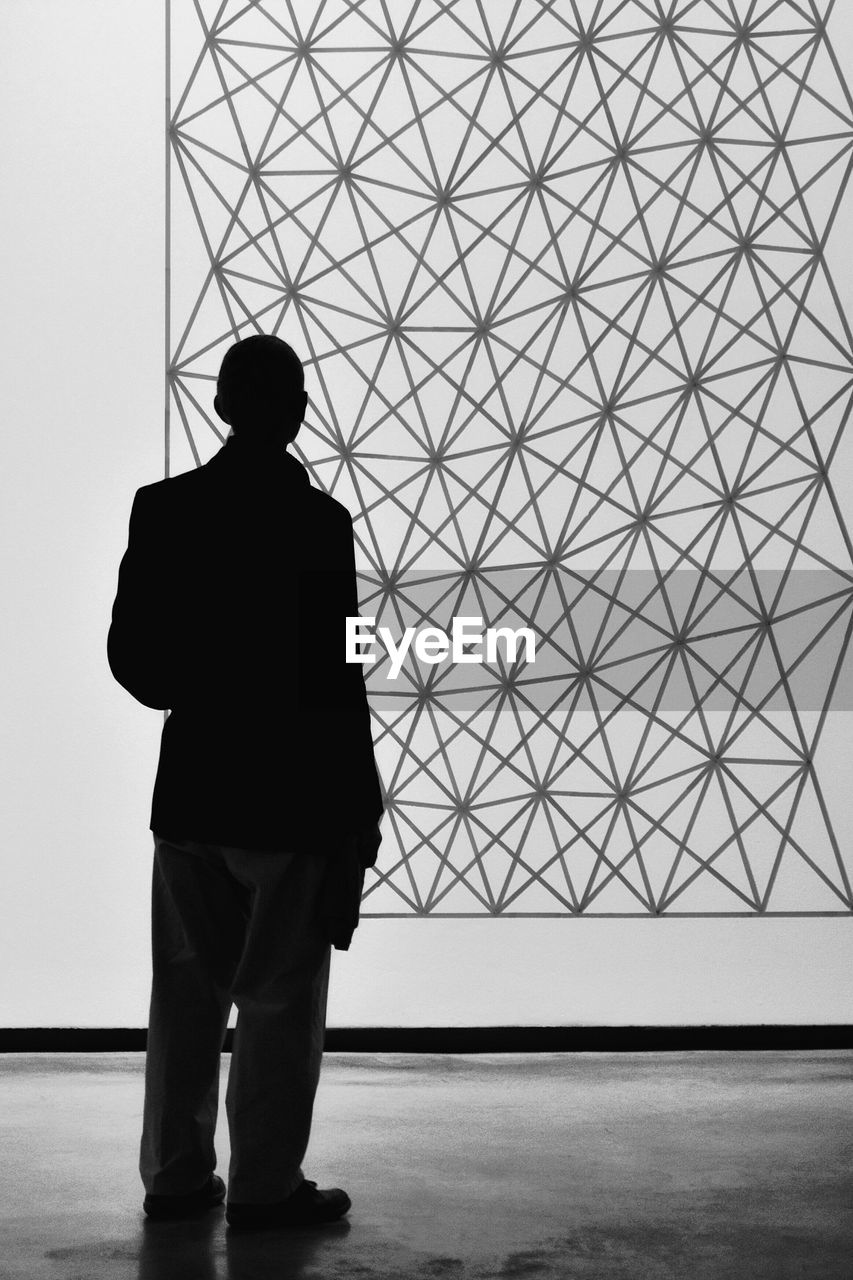 Rear view of silhouette businessman looking at screen during presentation