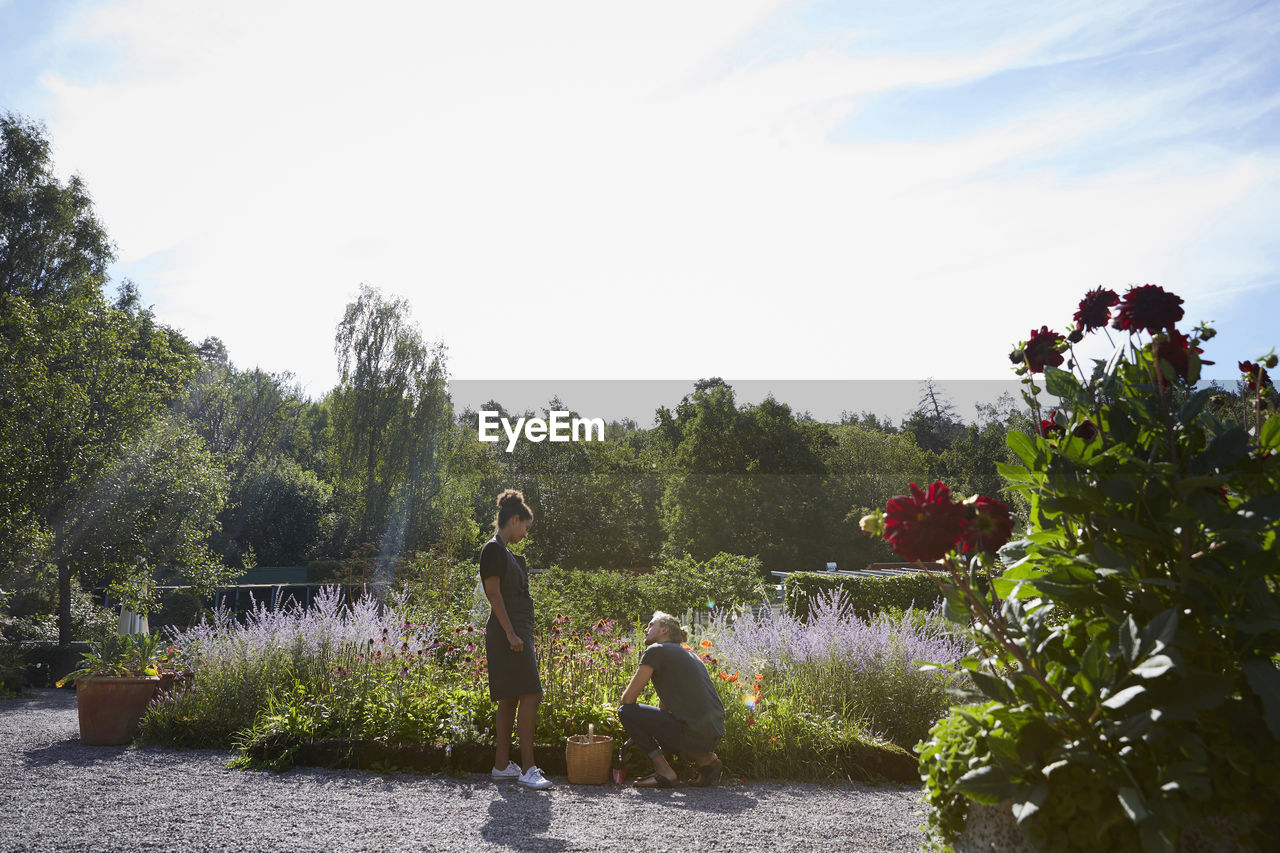 Male and female florists communicating by plants in yard