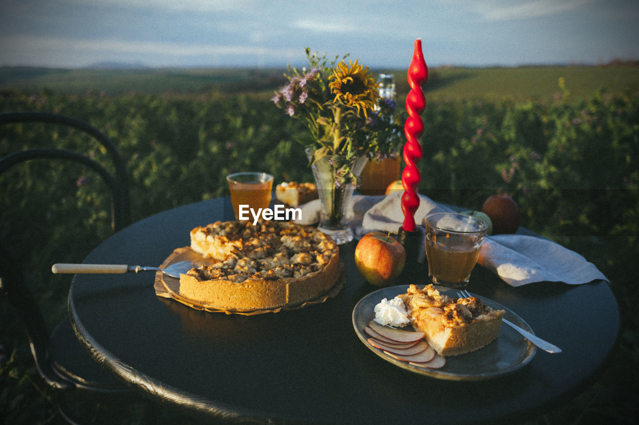 Close-up of apple pie served on table in a field