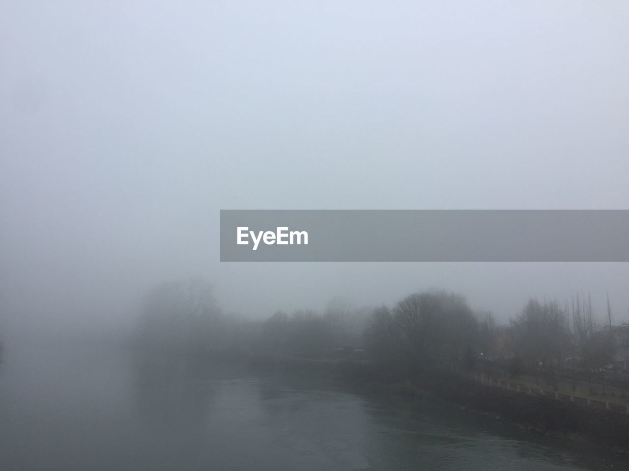 SCENIC VIEW OF TREES IN FOGGY WEATHER AGAINST SKY DURING FOG