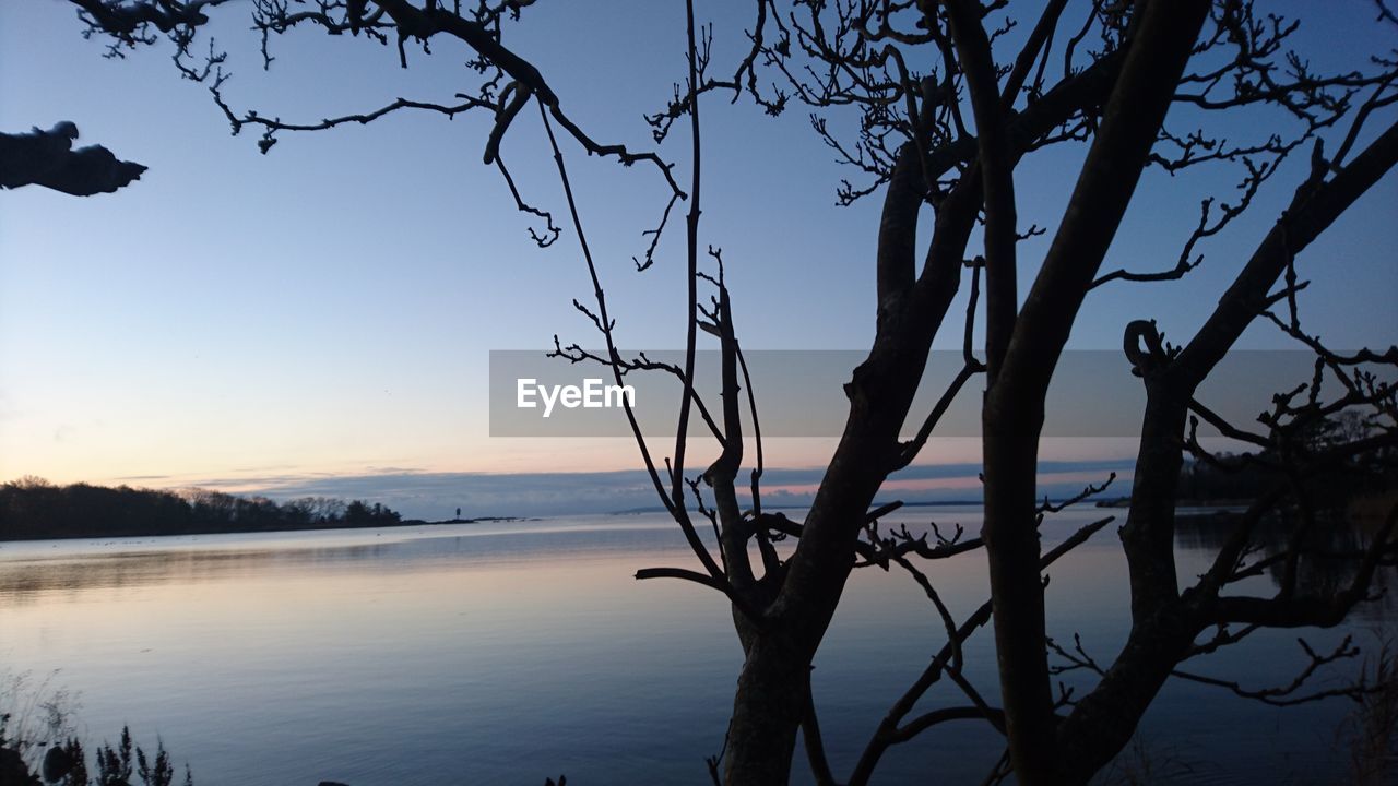 SILHOUETTE TREES ON BEACH AGAINST SKY