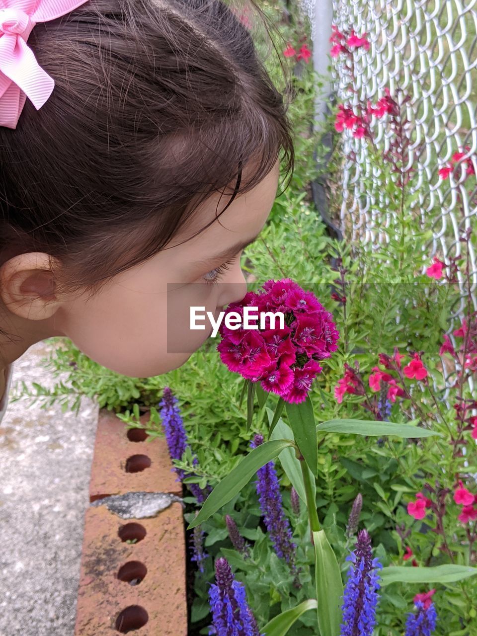 CLOSE-UP OF GIRL WITH PINK FLOWERS AGAINST WALL