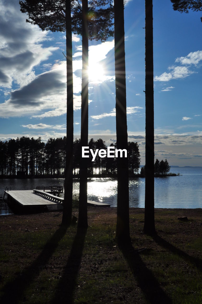 Trees by lake against sky