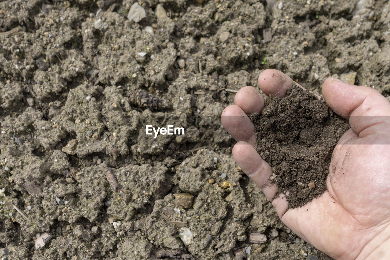 Close-up of hand holding soil on land