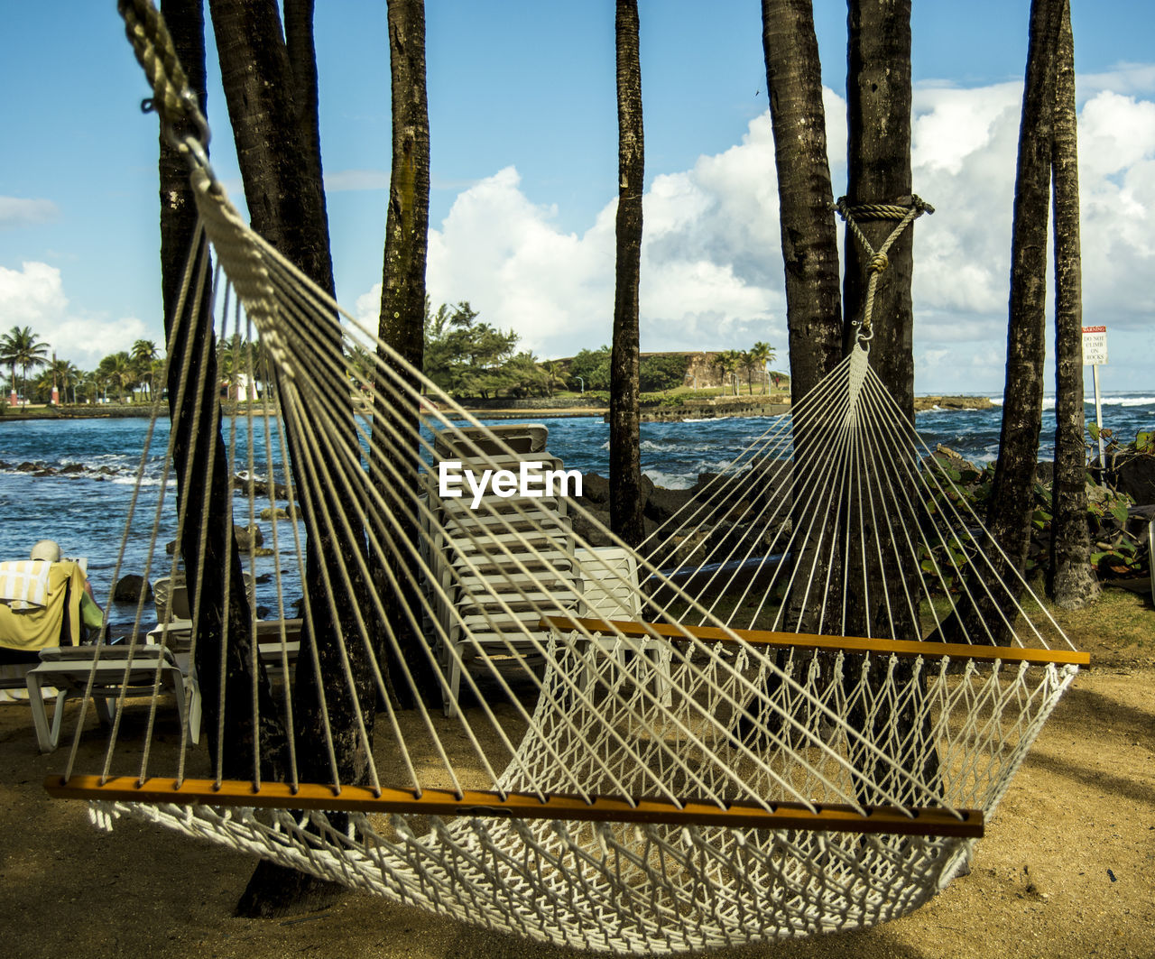 Hammock hanging amidst trees at beach