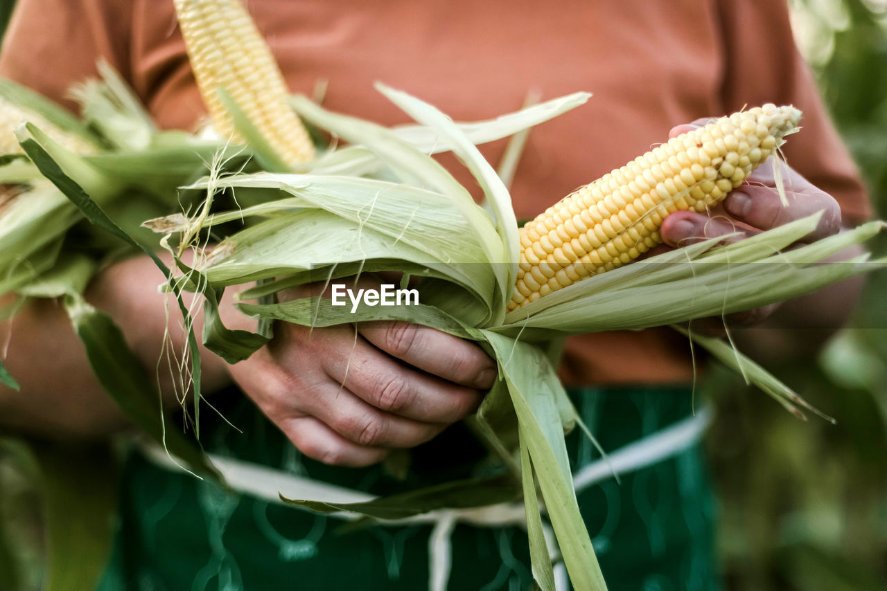 Close-up of woman holding corns