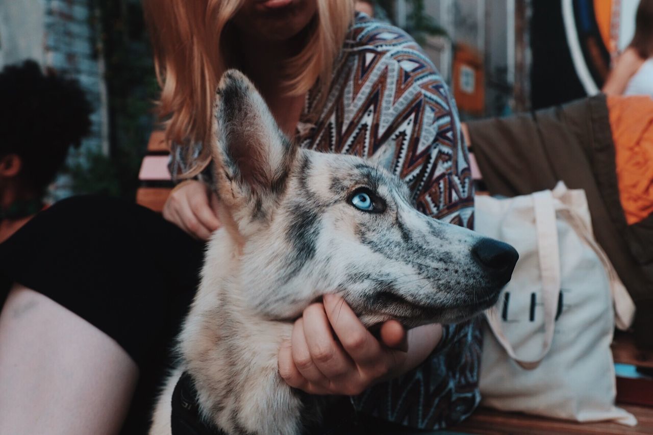 CLOSE-UP OF MAN HOLDING DOG