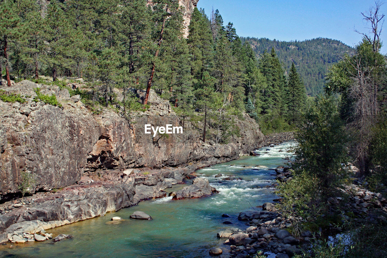 River by rocky cliff in forest