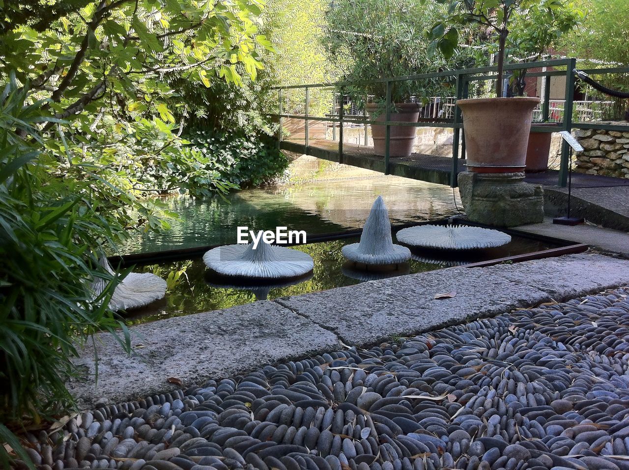 VIEW OF TREES IN WATER