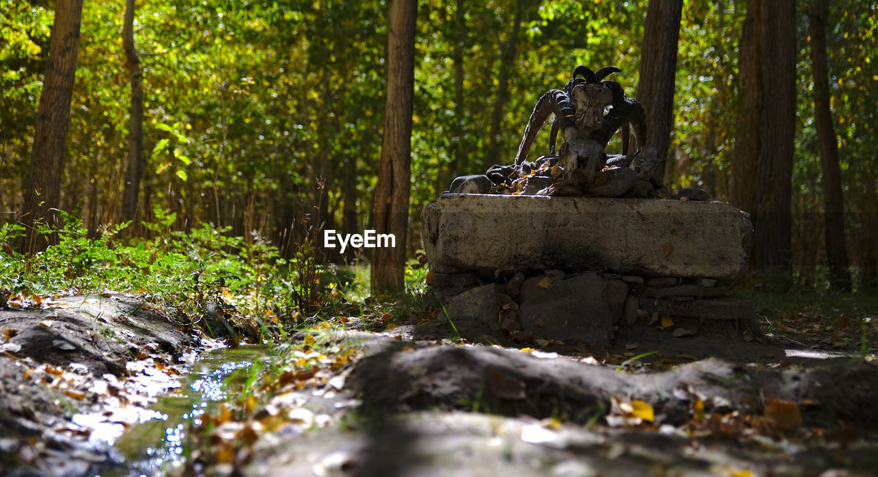 VIEW OF STONE SITTING ON ROCK