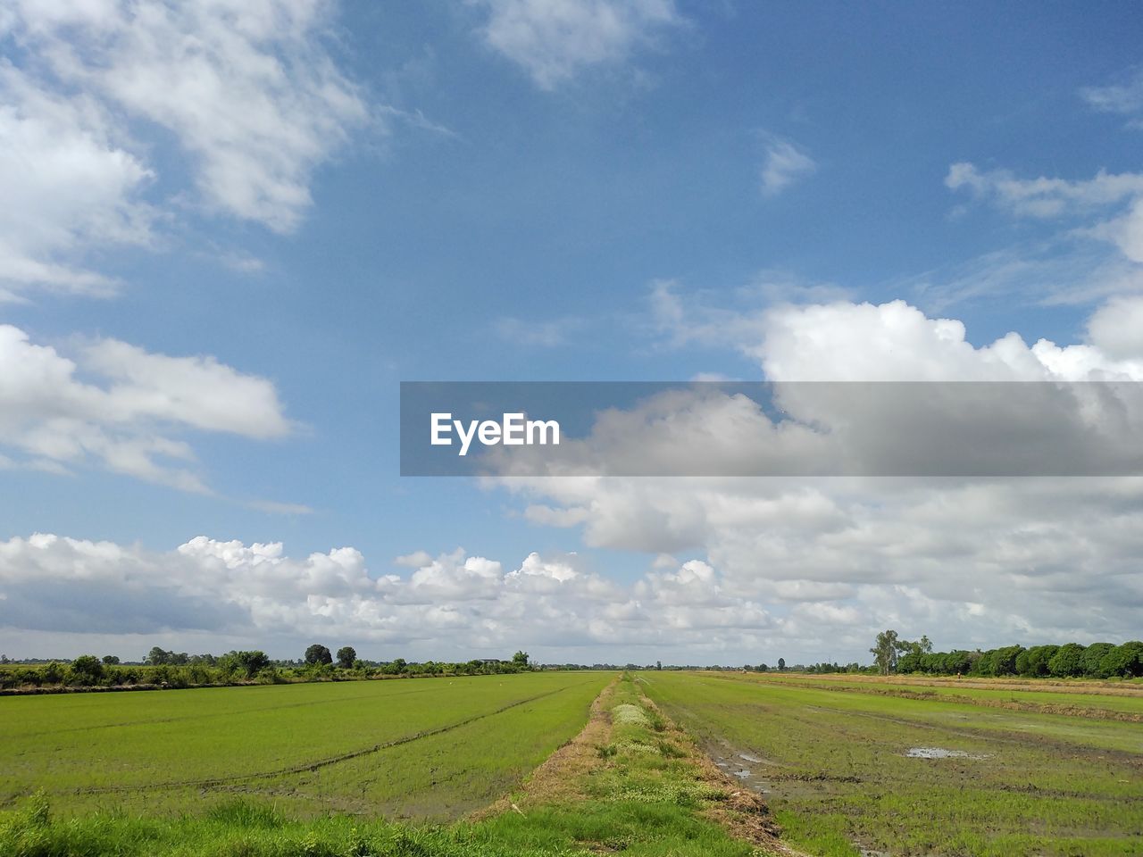 landscape, sky, cloud, environment, field, plain, horizon, plant, land, grassland, agriculture, rural scene, prairie, nature, grass, rural area, scenics - nature, beauty in nature, no people, meadow, pasture, hill, farm, green, crop, tranquility, day, growth, food and drink, food, tranquil scene, tree, outdoors, blue, travel, cereal plant, road, horizon over land, non-urban scene, soil, cloudscape, vegetable, social issues, dirt, steppe