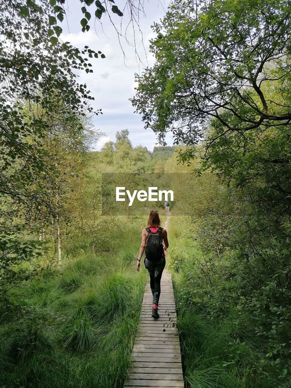 Rear view of woman walking on footpath in forest